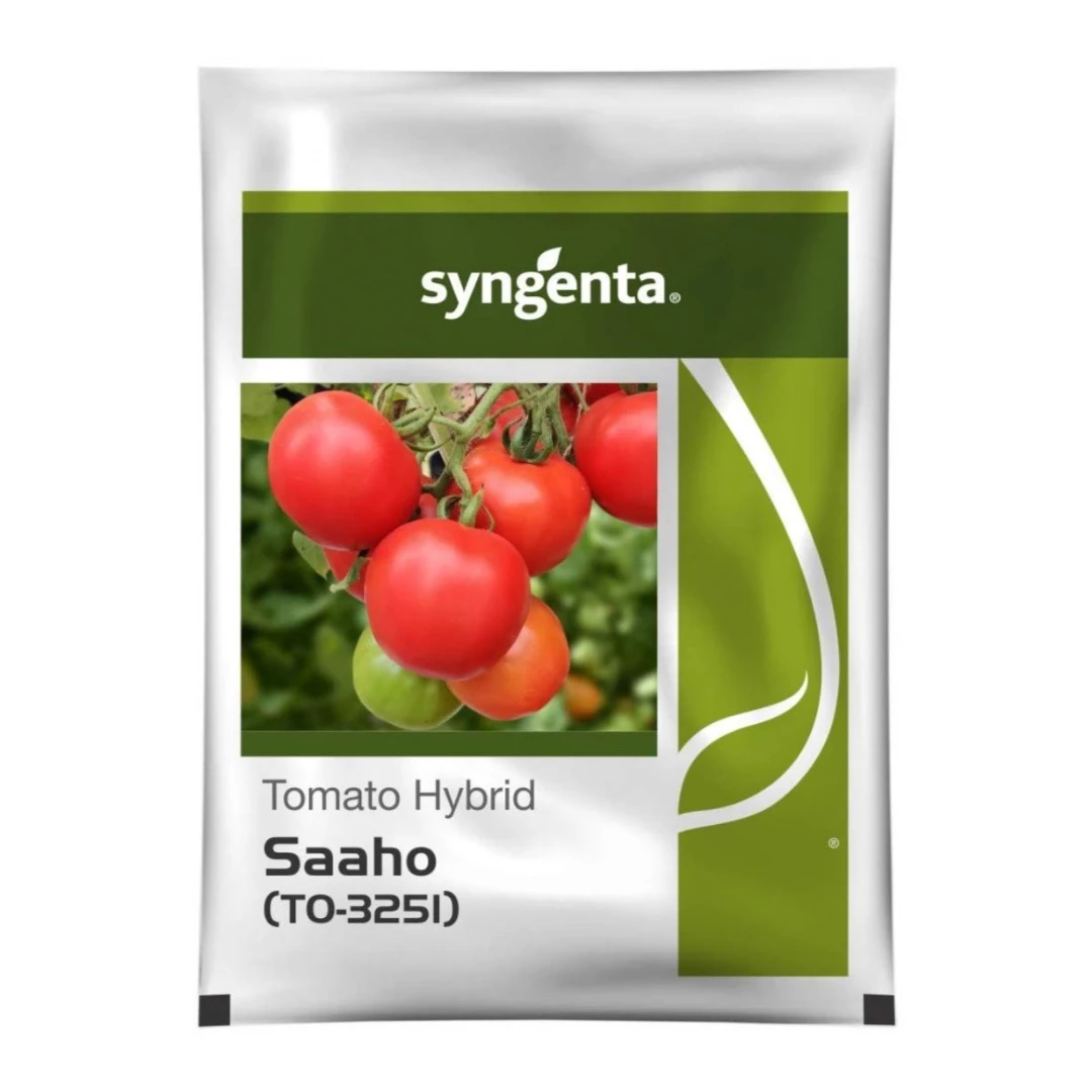 syngenta saaho (to 3251) f1 hybrid tomato seedsbrand: syngenta india ltd. product code: country of origin: india category: seeds sub category: vegetable sub sub category: tomato